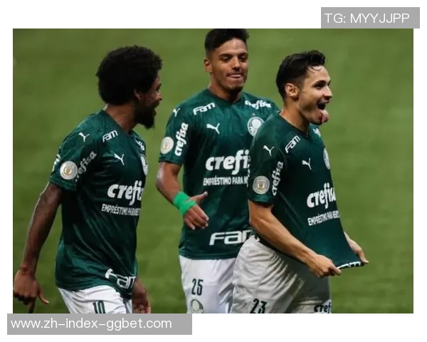 帕尔梅拉斯与阿瓦伊的精彩对决揭示巴西足球的激烈竞争与魅力